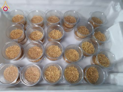 ภาพ No.200926:พิธีถวายภัตตาหารเป็นสังฆทาน แด่พระธรรมยาตรา ณ อนุสรณ์สถานบางปลา วัดบางปลา อำเภอบางเลน จังหวัดนครปฐม ในโครงการธรรมยาตรา กตัญญูบูชา มหาปูชนียาจารย์ พระมงคลเทพมุนี(สด จนฺทสโร) พระผู้ปราบมาร อนุสรณ์สถาน 7 แห่ง ปีที่ 13 วันที่ 24 มกราคม พ.ศ. 2568