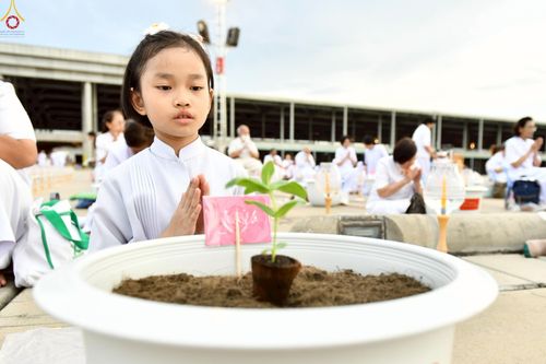 ภาพ No.252951:วันที่ 10 ตุลาคม พ.ศ. 2568 พิธีปลูกต้นทรัพย์บานชื่น ณ ลานธรรม วัดพระธรรมกาย