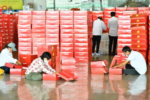 ภาพ No.212083:วันจันทร์ที่ 17 มีนาคม พ.ศ. 2568 บุญบรรจุกล่องไทยธรรม เพื่อถวายแด่พระสังฆาธิการ 40,000 กว่าวัดทั่วไทย ในวันคุ้มครองโลก 22 เมษายน พ.ศ. 2568 ณ บ้านแก้วเรือนทองคุณยายฯ วัดพระธรรมกาย