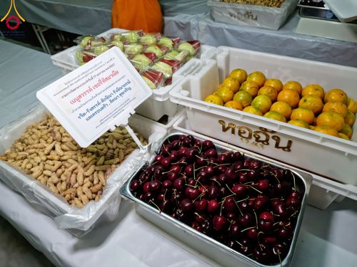 ภาพ No.113704:พิธีถวายภัตตาหารเป็นสังฆทาน แด่คณะพระธรรมยาตรา ปีที่ 12 วันที่ 17 มกราคม พ.ศ. 2567 ณ วัดโบสถ์(บน) บางคูเวียง จ.นนทบุรี