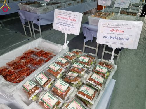 ภาพ No.109218:พิธีถวายภัตตาหารเป็นสังฆทาน แด่คณะพระธรรมยาตราฯ วันที่ 10 มกราคม พ.ศ. 2567 ณ อนุสรณ์สถานคลองบางนางแท่น อ.สามพราน จ.นครปฐม