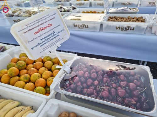 ภาพ No.106064:พิธีถวายภัตตาหารเป็นสังฆทาน แด่คณะพระธรรมยาตราฯ ในโครงการธรรมยาตรากตัญญูบูชา มหาปูชนียาจารย์ พระมงคลเทพมุนี(สด จนฺทสโร) พระผู้ปราบมาร อนุสรณ์สถาน 7 แห่ง ปีที่ 12 วันที่ 3 มกราคม พ.ศ. 2567 ณ อนุสรณ์สถานโลตัสแลนด์ จ.สุพรรณบุรี