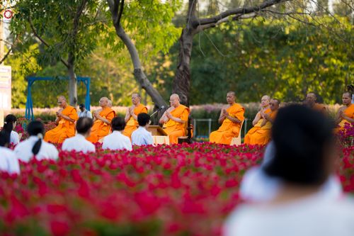 ภาพ No.280892:วันที่ 28 ธันวาคม พ.ศ.2568 กิจกรรมเก็บดอกแพงรวย ณ ทุ่งสวรรค์ตะวันฉาย วัดพระธรรมกาย