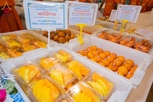 ภาพ No.305635:วันที่ 29 มกราคม พ.ศ. 2569 พิธีถวายภัตตาหารเป็นสังฆทาน แด่พระธรรมยาตรา ณ วัดพระธรรมกาย  จังหวัดปทุมธานี ในโครงการธรรมยาตรา กตัญญูบูชา มหาปูชนียาจารย์ พระมงคลเทพมุนี(สด จนฺทสโร) พระผู้ปราบมาร อนุสรณ์สถาน 7 แห่ง ปีที่ 14