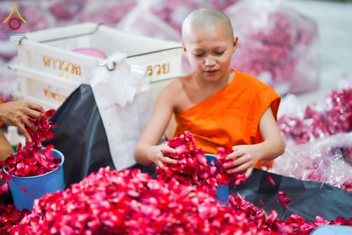 ภาพ No.279504:วันที่ 19-26 ธันวาคม พ.ศ. 2568 และ วันที่ 1 มกราคม พ.ศ.2569 รับบุญปลิดกลีบดอกไม้ เพื่อโปรยต้อนรับพระธรรมยาตรา