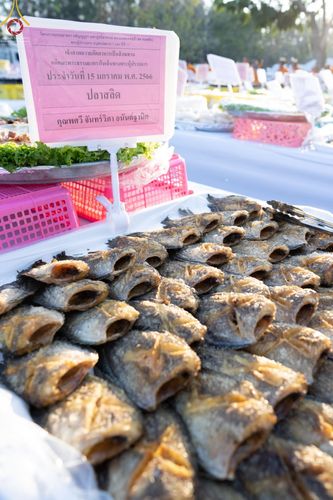 ภาพ No.71386:พิธีถวายภัตตาหารเป็นสังฆทาน แด่คณะพระธรรมยาตราฯ ในโครงการธรรมยาตรากตัญญูบูชา มหาปูชนียาจารย์ พระมงคลเทพมุนี(สด จนฺทสโร) พระผู้ปราบมาร อนุสรณ์สถาน 7 แห่ง ปีที่ 11 วันที่ 15 มกราคม พ.ศ. 2566