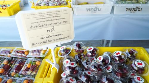 ภาพ No.74680:พิธีถวายภัตตาหารเป็นสังฆทาน แด่คณะพระธรรมยาตราฯ ในโครงการธรรมยาตรากตัญญูบูชา มหาปูชนียาจารย์ พระมงคลเทพมุนี(สด จนฺทสโร) พระผู้ปราบมาร อนุสรณ์สถาน 7 แห่ง ปีที่ 11 วันที่ 28 มกราคม พ.ศ. 2566