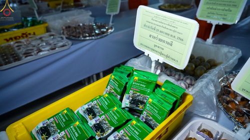 ภาพ No.74179:พิธีถวายภัตตาหารเป็นสังฆทาน แด่คณะพระธรรมยาตราฯ ในโครงการธรรมยาตรากตัญญูบูชา มหาปูชนียาจารย์ พระมงคลเทพมุนี(สด จนฺทสโร) พระผู้ปราบมาร อนุสรณ์สถาน 7 แห่ง ปีที่ 11 วันที่ 25 มกราคม พ.ศ. 2566