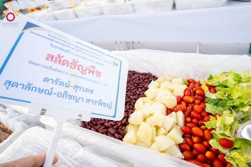 ภาพ No.292315:วันที่ 11 มกราคม พ.ศ. 2569 พิธีถวายภัตตาหารเป็นสังฆทาน แด่พระธรรมยาตรา ในโครงการธรรมยาตรา กตัญญูบูชา มหาปูชนียาจารย์ พระมงคลเทพมุนี(สด จนฺทสโร) พระผู้ปราบมาร อนุสรณ์สถาน 7 แห่ง ปีที่ 14 ณ  อนุสรณ์สถานลำดับที่ 2  สถานที่ตั้งมโนปณิธานบวชตลอดชีวิต อนุสรณ์สถ