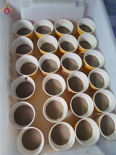 ภาพ No.200971:พิธีถวายภัตตาหารเป็นสังฆทาน แด่พระธรรมยาตรา ณ อนุสรณ์สถานบางปลา วัดบางปลา อำเภอบางเลน จังหวัดนครปฐม ในโครงการธรรมยาตรา กตัญญูบูชา มหาปูชนียาจารย์ พระมงคลเทพมุนี(สด จนฺทสโร) พระผู้ปราบมาร อนุสรณ์สถาน 7 แห่ง ปีที่ 13 วันที่ 24 มกราคม พ.ศ. 2568