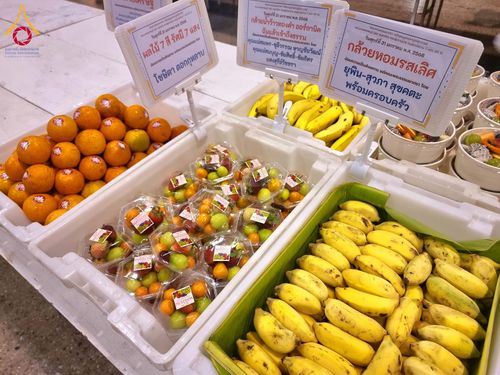 ภาพ No.204389:พิธีถวายภัตตาหารเป็นสังฆทาน แด่พระธรรมยาตรา ณ วัดพระธรรมกาย ตำบลคลองสาม อำเภอคลองหลวง จังหวัดปทุมธานี ในโครงการธรรมยาตรา กตัญญูบูชา มหาปูชนียาจารย์ พระมงคลเทพมุนี(สด จนฺทสโร) พระผู้ปราบมาร อนุสรณ์สถาน 7 แห่ง ปีที่ 13 วันที่ 31 มกราคม พ.ศ. 2568