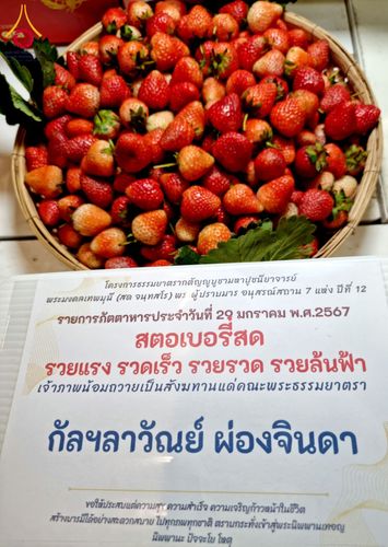 ภาพ No.120711:พิธีถวายภัตตาหารเป็นสังฆทาน แด่คณะพระธรรมยาตรา ปีที่ 12 วันที่ 29 มกราคม พ.ศ. 2567 ณ สภาธรรมกายสากล วัดพระธรรมกาย