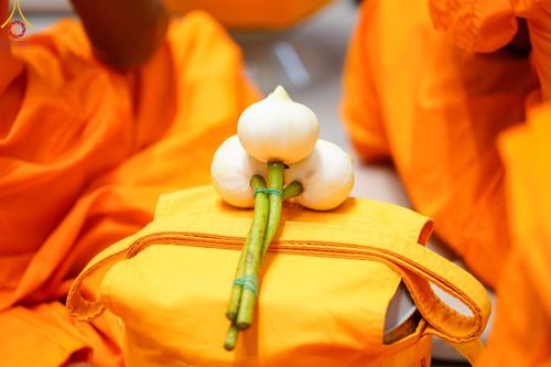 ภาพ No.199829:โครงการอุปสมบทหมู่บูชาธรรม 116 ปี คุณยายอาจารย์มหารัตนอุบาสิกาจันทร์ ขนนกยูง โครงการอุปสมบทหมู่ธรรมทายาท ระดับอุดมศึกษา รุ่นที่ 51 ภาคฤดูหนาว  ณ โบสถ์พระไตรปิฏก วัดพระธรรมกาย จ.ปทุมธานี  วันที่ 11 มกราคม พ.ศ. 2568 โดยมีพระครูปลัดรัตนวีรวัฒน์ เจ้าอาวาสวัด