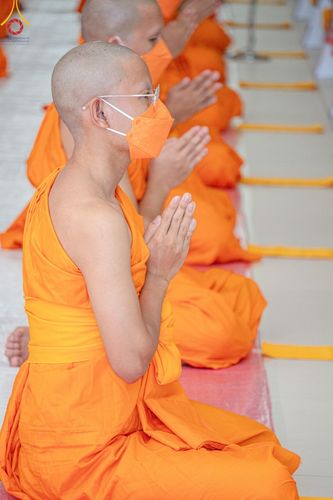 ภาพ No.141492:พิธีบรรพชาอุปสมบท โครงการอุปสมบทหมู่รุ่นผู้บริหาร รุ่นที่ 14 โครงการอุปสมบทหมู่ธรรมทายาท ระดับอุดมศึกษา รุ่นที่ 51 ภาคฤดูฝน ณ โบสถ์พระไตรปิฎก วัดพระธรรมกาย ในวันเสาร์ที่ 15 มิถุนายน พ.ศ. 2567