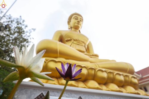 ภาพ No.299898:วันที่ 22 มกราคม พ.ศ.2569 พระธรรมยาตราปฏิบัติธรรม และถ่ายภาพหมู่ประวัติศาสตร์ ณ อาคารธรรมยาตรา กตัญญูบูชามหาปูชนียาจารย์  ตรงข้ามวัดปากน้ำภาษีเจริญ จ.กรุงเทพมหานคร ในโครงการธรรมยาตรา กตัญญูบูชา มหาปูชนียาจารย์ พระมงคลเทพมุนี(สด จนฺทสโร) พระผู้ปราบมาร อนุ