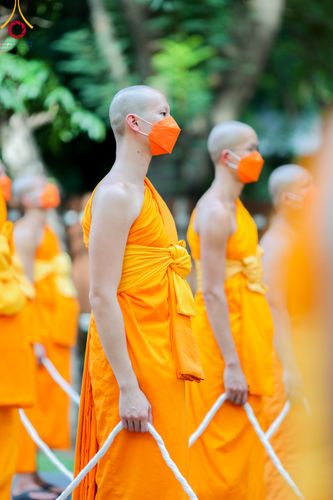 ภาพ No.89068:พิธีอัญเชิญรูปหล่อทองคำ  คุณยายอาจารย์มหารัตนอุบาสิกาจันทร์ ขนนกยูง เพื่อประดิษฐาน ณ มหาวิหารคุณยายอาจารย์ฯ เนื่องในวันครูผู้ค้นพบวิชชาธรรมกาย วันศุกร์ที่ 29 กันยายน พ.ศ. 2566