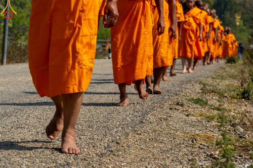 ภาพ No.315757:วันอังคารที่ 24 มีนาคม พ.ศ.2569 ธรรมยาตราจาริก ณ ป่ามหาวัน ประเทศเนปาล