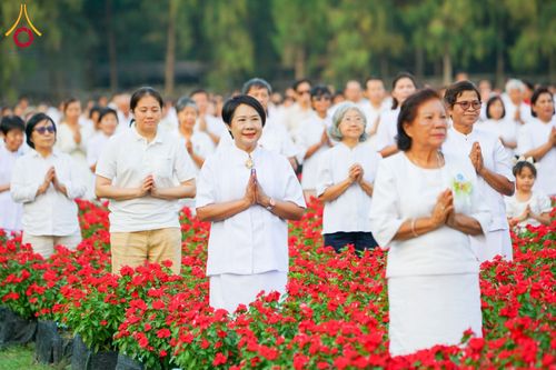 ภาพ No.185433:กิจกรรมเก็บดอกแพงรวย วันอาทิตย์ที่ 22 ธันวาคม พ.ศ. 2567 ณ ทุ่งสวรรค์ ตะวันฉาย วัดพระธรรมกาย