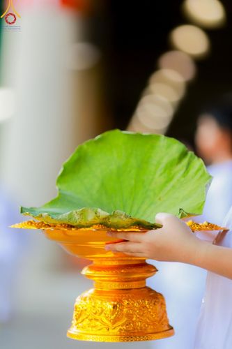 ภาพ No.132616:พิธีปลงผมยุวธรรมทายาท รุ่นที่ 32 มัชฌิมธรรมทายาท รุ่นที่ 28 ณ ลานธรรม วัดพระธรรมกาย วันเสาร์ที่ 30 มีนาคม พ.ศ. 2567