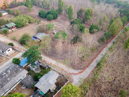 ภาพ No.136949:Photo Story  มหัศจรรย์วัดดงดินแดง Episode 5 กิจกรรมถ่ายภาพหมู่ประวัติศาสตร์ และตักบาตรฉลองพระ-เณรกว่า 500 รูป วันที่ 6 เมษายน พ.ศ. 2567