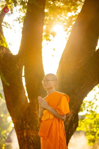 ภาพ No.181179:พิธีอุปสมบท ณ วัดพระเจ้าตนหลวง จังหวัดลำพูน ในโครงการอุปสมบทบูชาธรรมมหาปูชนียาจารย์ วันที่ 8 ธันวาคม พ.ศ. 2567