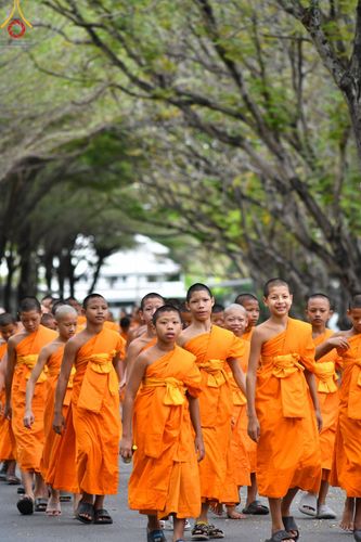 ภาพ No.182309:พิธีถวายภัตตาหารเมนูสวรรค์ "เพื่อการบรรลุธรรม" วันเสาร์ที่ 14 ธันวาคม พ.ศ. 2567 ณ หอฉันคุณยายอาจารย์ฯ วัดพระธรรมกาย