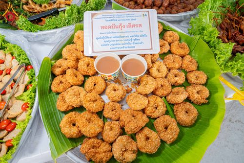 ภาพ No.301856:วันที่ 24 มกราคม พ.ศ. 2569 พิธีถวายภัตตาหารเป็นสังฆทาน แด่พระธรรมยาตรา ณ อนุสรณ์สถานบางปลา วัดบางปลา อำเภอบางเลน จังหวัดนครปฐม ในโครงการธรรมยาตรา กตัญญูบูชา มหาปูชนียาจารย์ พระมงคลเทพมุนี(สด จนฺทสโร) พระผู้ปราบมาร อนุสรณ์สถาน 7 แห่ง ปีที่ 14