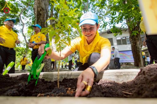 ภาพ No.226771:กิจกรรมจิตอาสาพัฒนา “เราทำความ ดี ด้วยหัวใจ” เนื่องในโอกาสวันพระบาทสมเด็จพระปกเกล้าเจ้าอยู่หัว ณ วัดพระธรรมกาย อ.คลองหลวง จ.ปทุมธานี วันพุธที่ 28 พฤษภาคม พ.ศ. 2568