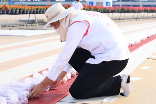 ภาพ No.121395:V.21 ลุยต่อ การเตรียมงาน เก็บงาน การรับบุญของเจ้าหน้าที่หน่วยงานต่างๆ เพื่อโครงการธรรมยาตรา กตัญญูบูชามหาปูชนียาจารย์ พระมงคลเทพมุนี (สด จนฺทสโร) พระผู้ปราบมาร อนุสรณ์สถาน 7 แห่ง ปีที่ 12 ระหว่างวันที่ 2 - 31 มกราคม พ.ศ.2567