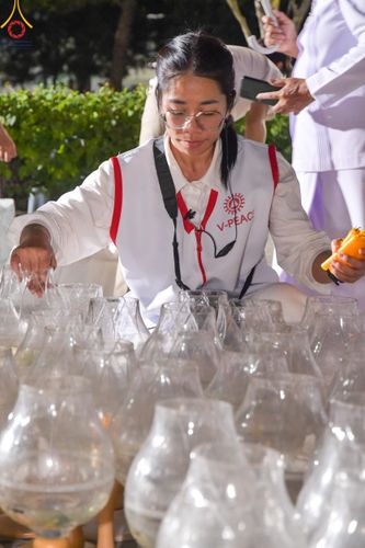 ภาพ No.115823:V.15 สามัคคี การเตรียมงาน เก็บงาน การรับบุญของเจ้าหน้าที่หน่วยงานต่างๆ เพื่อโครงการธรรมยาตรา กตัญญูบูชามหาปูชนียาจารย์ พระมงคลเทพมุนี (สด จนฺทสโร) พระผู้ปราบมาร อนุสรณ์สถาน 7 แห่ง ปีที่ 12 ระหว่างวันที่ 2 - 31 มกราคม พ.ศ.2567