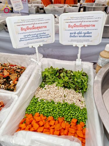 ภาพ No.118770:พิธีถวายภัตตาหารเป็นสังฆทาน แด่คณะพระธรรมยาตรา วันที่ 25 มกราคม พ.ศ. 2567 ณ อนุสรณ์สถานบางนางแท่น จ.นครปฐม