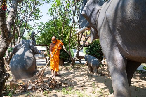 ภาพ No.71731:พระธรรมยาตรา ปฏิบัติศาสนกิจ ทำนุบำรุงศาสนสถาน, สวดธรรมจักร ,ปฏิบัติธรรม ร่วมกับชุมชน,นักเรียนเด็กดีวีสตาร์ และร่วมพิธีทอดผ้าป่าบำรุงศาสนสถาน ในโครงการธรรมยาตรากตัญญูบูชา มหาปูชนียาจารย์ พระมงคลเทพมุนี(สด จนฺทสโร) พระผู้ปราบมาร อนุสรณ์สถาน 7 แห่ง ปีที่ 11