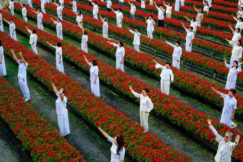 ภาพ No.280962:วันที่ 28 ธันวาคม พ.ศ.2568 กิจกรรมเก็บดอกแพงรวย ณ ทุ่งสวรรค์ตะวันฉาย วัดพระธรรมกาย