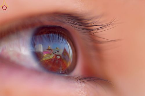 ภาพ No.75205:พิธีจุดประทีปถวายเป็นพุทธบูชา และบูชาธรรมมหาปูชนียาจารย์ ในโครงการธรรมยาตรากตัญญูบูชา มหาปูชนียาจารย์ พระมงคลเทพมุนี(สด จนฺทสโร) พระผู้ปราบมาร ปีที่ 11 ณ อนุสรณ์สถานลำดับที่ 7 สถานที่ขยายวิชชาธรรมกาย วัดพระธรรมกาย จ.ปทุมธานี วันที่ 31 มกราคม พ.ศ. 2566