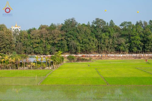 ภาพ No.310031:วันที่ 3-8 กุมภาพันธ์ พ.ศ. 2569 ธรรมยาตราบังกลาเทศ (Rajban Vihar - Khagrachri) ณ ประเทศบังกลาเทศ (Bangladesh)