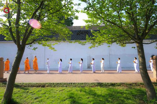 ภาพ No.328690:วันอาทิตย์ที่ 10 พฤษภาคม พ.ศ. 2569 พิธีสักการะพระบรมสารีริกธาตุ ณ วัดพระธรรมกายเบลเยียม