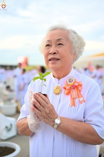 ภาพ No.252892:วันที่ 10 ตุลาคม พ.ศ. 2568 พิธีปลูกต้นทรัพย์บานชื่น ณ ลานธรรม วัดพระธรรมกาย