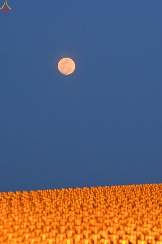 ภาพ No.223961:วันวิสาขบูชา วันอาทิตย์ที่ 11 พฤษภาคม พ.ศ. 2568 พิธีจุดวิสาขประทีป ,  พิธีเวียนประทักษิณรอบพระมหาธรรมกายเจดีย์ , พิธีฉลองชัยสวดมนต์บทธัมมจักกัปปวัตตนสูตร ครบ 7,357,000,000 จบ ณ มหารัตนวิหารคด วัดพระธรรมกาย