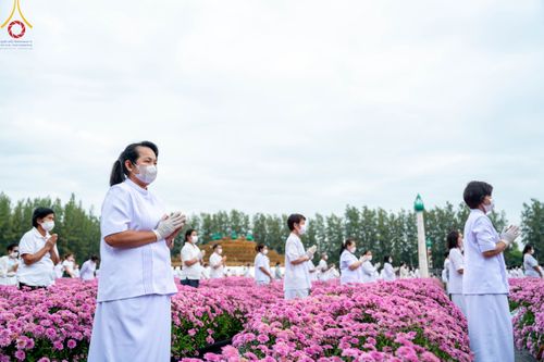 ภาพ No.104015:สาธุชนร่วมรับบุญเก็บดอกเบญจทรัพย์ ในวันอาทิตย์ที่ 24 ธันวาคม พ.ศ. 2566 ณ ทุ่งสวรรค์ตะวันฉาย บริเวณวัดพระธรรมกาย จ.ปทุมธานี