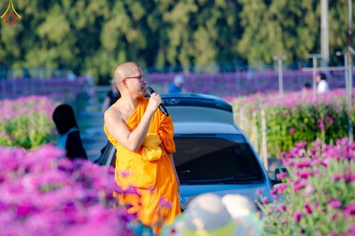 ภาพ No.186293:จิตอาสาอนุรักษ์สิ่งแวดล้อม รับบุญเก็บดอกเบญจทรัพย์ เพื่องานต้อนรับพระธรรมยาตรา ณ "ทุ่งสวรรค์ ตะวันฉาย" วัดพระธรรมกาบ วันที่ 22 ธันวาคม พ.ศ. 2567