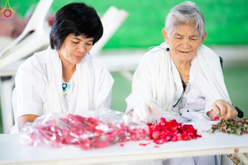 ภาพ No.187275:สาธุชน เจ้าหน้าที่ ร่วมบุญปลิดกลีบดอกไม้ เพื่อโปรยต้อนรับพระธรรมยาตรา ตั้งแต่วันที่ 26 ธันวาคม พ.ศ. 2567 ณ วิหารคด 31 วัดพระธรรมกาย