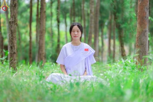 ภาพ No.153837:โครงการอบรมอุบาสก อุบาสิกาแก้ว รุ่นที่ 1 ผู้แทนทอดกฐินสามัคคี 30,000 วัดทั่วไทย ระหว่างวันที่ 6-8 กันยายน พ.ศ. 2567 ณ ธุดงคสถานพิษณุโลก