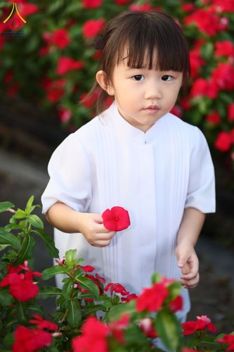 ภาพ No.185465:กิจกรรมเก็บดอกแพงรวย วันอาทิตย์ที่ 22 ธันวาคม พ.ศ. 2567 ณ ทุ่งสวรรค์ ตะวันฉาย วัดพระธรรมกาย