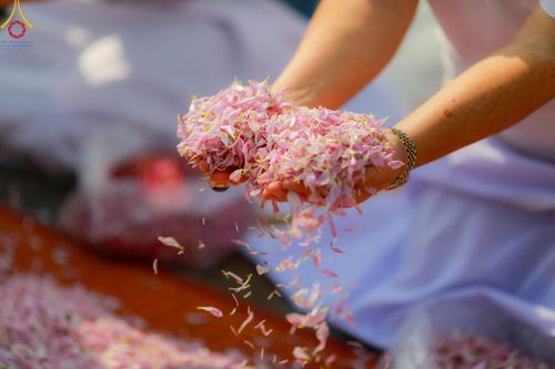 ภาพ No.113105:พิธีต้อนรับพระธรรมยาตรา ปีที่ 12 วันที่ 15 มกราคม พ.ศ. 2567 ณ วัดโบสถ์บน จ.นนทบุรี