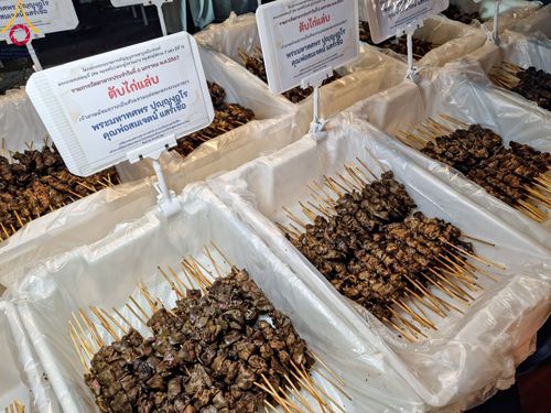 ภาพ No.106688:พิธีถวายภัตตาหารเป็นสังฆทาน แด่คณะพระธรรมยาตราฯ ในโครงการธรรมยาตรากตัญญูบูชา มหาปูชนียาจารย์ พระมงคลเทพมุนี(สด จนฺทสโร) พระผู้ปราบมาร อนุสรณ์สถาน 7 แห่ง ปีที่ 12 วันที่ 6 มกราคม พ.ศ. 2567 ณ อนุสรณ์สถานโลตัสแลนด์ จ.สุพรรณบุรี