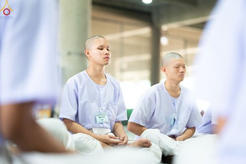 ภาพ No.79571:การปฎิบัติธรรมและกิจวัตรกิจกรรม ของนาคธรรมทายาท ในโครงการบรรพชาสามเณรฟื้นฟูพระพุทธศาสนาทั่วไทย และโครงการมัชฌิมธรรมทายาท วันที่ 4 เมษายน พ.ศ. 2566 ณ วัดพระธรรมกาย