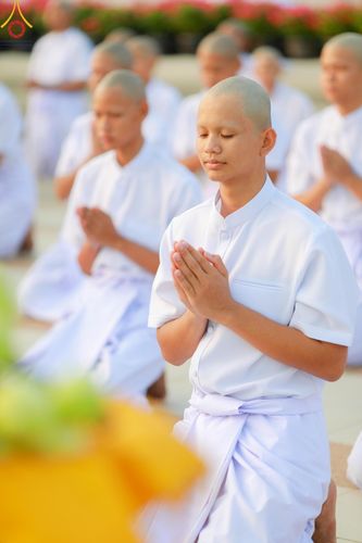 ภาพ No.133754:พิธีเวียนประทักษิณและพิธีวันทาเจดีย์ โครงการบรรพชาสามเณร ฟื้นฟูพระพุทธศาสนาทั่วไทย ณ วัดพระธรรมกาย วันเสาร์ที่ 6 เมษายน พ.ศ. 2567