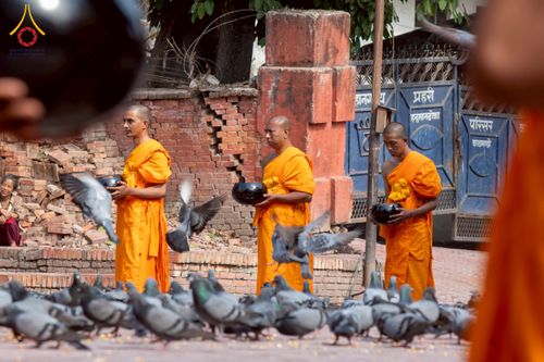 ภาพ No.213146:วันที่ 17 - 18 มีนาคม พ.ศ. 2568 คณะสงฆ์และสามเณรเดินบิณฑบาต รอบเมืองในพื้นที่ วัดสยมภูวนาถและราชวังปาตัน ณ เมืองกาฐมาณฑุ ประเทศเนปาล