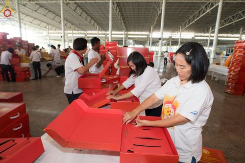 ภาพ No.212293:วันพุธที่ 19 มีนาคม พ.ศ. 2568 การบรรจุไทยธรรมลงกล่องสำเร็จ 43,500 กล่อง เพื่อถวายแด่พระสังฆาธิการ 40,000 กว่าวัดทั่วไทย ในวันคุ้มครองโลก 22 เมษายน พ.ศ. 2568 ณ บ้านแก้วเรือนทองคุณยายฯ วัดพระธรรมกาย