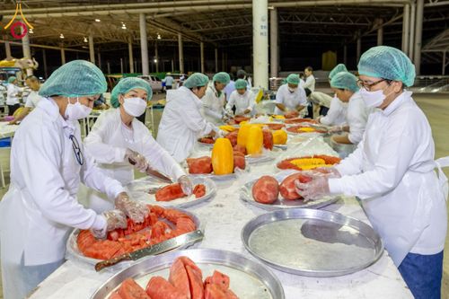 ภาพ No.202720:พิธีถวายภัตตาหารเป็นสังฆทาน แด่พระธรรมยาตรา ณ วัดพระธรรมกาย ตำบลคลองสาม อำเภอคลองหลวง จังหวัดปทุมธานี ในโครงการธรรมยาตรา กตัญญูบูชา มหาปูชนียาจารย์ พระมงคลเทพมุนี(สด จนฺทสโร) พระผู้ปราบมาร อนุสรณ์สถาน 7 แห่ง ปีที่ 13 วันที่ 28 มกราคม พ.ศ. 2568